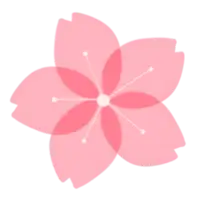 解析